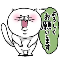 [LINEスタンプ] 後輩のもっちりネコ