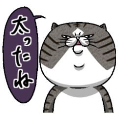 [LINEスタンプ] 媚びないもっちりネコ「野良ドラ雄」の画像（メイン）