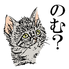 [LINEスタンプ] イヌネコはんこ風の画像（メイン）