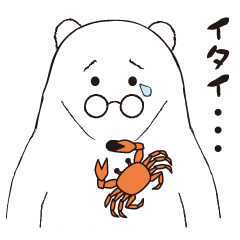 めがねくま