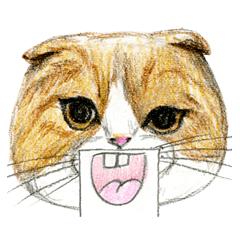 [LINEスタンプ] Hey！ にゃんこ！の画像（メイン）