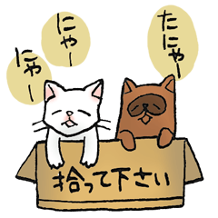 [LINEスタンプ] たぬき親分