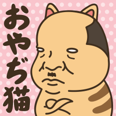 おやぢ猫