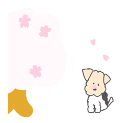 [LINEスタンプ] けんぴ春夏秋冬の画像（メイン）