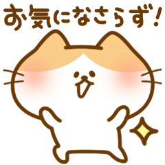 [LINEスタンプ] 敬語にゃんこ