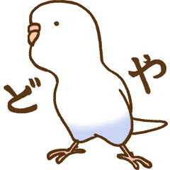 [LINEスタンプ] インコ気まぐれ 破壊神