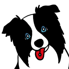 [LINEスタンプ] ボーダーコリーくんの日常