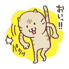 [LINEスタンプ] 5にゃんこ+1 ツッコミVerの画像（メイン）