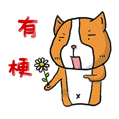[LINEスタンプ] Dog ＆ Bear