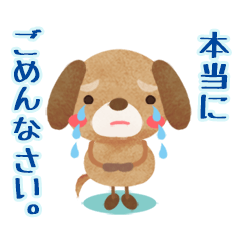 [LINEスタンプ] 「ごめんなさい」オンリー ①