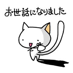 [LINEスタンプ] しろネコちゃんのつぶやき