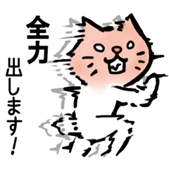 [LINEスタンプ] ハイテンション！ねこスタンプ