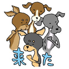 [LINEスタンプ] ガリガリわんこ☆祭り！の画像（メイン）