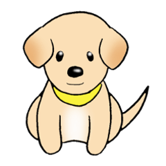 [LINEスタンプ] ラブラドールレトリバーさんの犬スタンプ