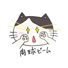 [LINEスタンプ] シチサンカットねこ