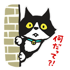 [LINEスタンプ] リアクション猫の画像（メイン）