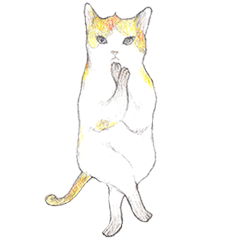 [LINEスタンプ] Yoga with Cat