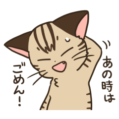 ごめんねこ