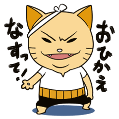 [LINEスタンプ] とぼけた顔してそそのかす腹巻猫。の画像（メイン）