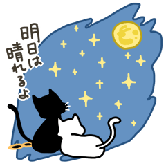 [LINEスタンプ] 黒猫クロクロの天気予報の画像（メイン）