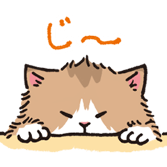 [LINEスタンプ] もふもふ長毛ネコくん