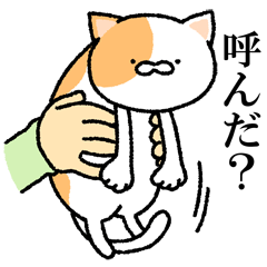 [LINEスタンプ] 猫にやらせてみた。の画像（メイン）