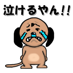 [LINEスタンプ] なにわん  （関西弁）の画像（メイン）