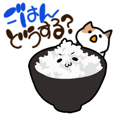 [LINEスタンプ] ランチ！夕飯！何食べる！？の画像（メイン）