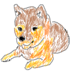 [LINEスタンプ] リアル？柴犬の画像（メイン）