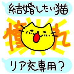 [LINEスタンプ] 結婚したい猫（吹き出しスタンプ）の画像（メイン）