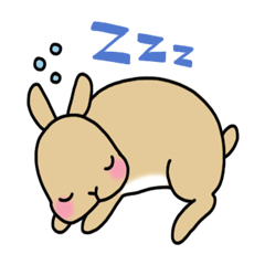 [LINEスタンプ] うさぎのはなちゃんの画像（メイン）