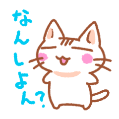 [LINEスタンプ] 北九州弁ねこ