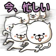 [LINEスタンプ] 俊敏すぎるネコ。の画像（メイン）