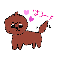 [LINEスタンプ] 犬の生活☆茶ムク犬