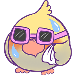 [LINEスタンプ] Cockatiel Jin's Dailyの画像（メイン）