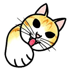 [LINEスタンプ] ニャータンプの画像（メイン）