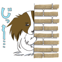 [LINEスタンプ] パピヨンのテンちゃん
