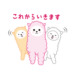 [LINEスタンプ] あるぱかぁ