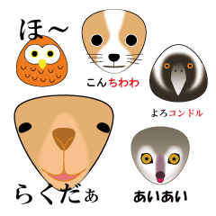 [LINEスタンプ] おにぎり動物園でおやじギャグの画像（メイン）