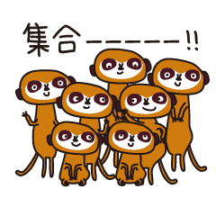 [LINEスタンプ] ミーアキャット部、連絡網