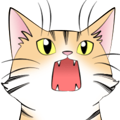 [LINEスタンプ] ねこの仕草あれこれの画像（メイン）