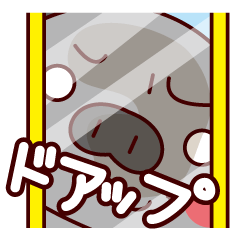 [LINEスタンプ] 黒ブタさんのスタンプ。