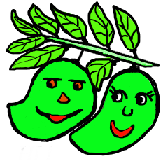 [LINEスタンプ] yellow mango and green mango characters