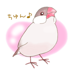 [LINEスタンプ] ちゅんこ日和。の画像（メイン）