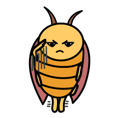 [LINEスタンプ] cockroach preserve world