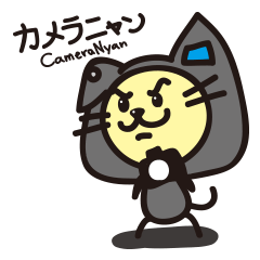 [LINEスタンプ] カメラニャンの画像（メイン）