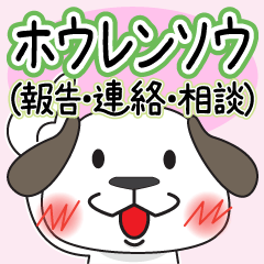 [LINEスタンプ] ホウレンソウ（報告・連絡・相談）スタンプの画像（メイン）