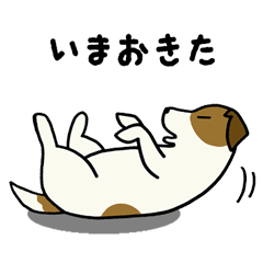 [LINEスタンプ] ジャックジャック