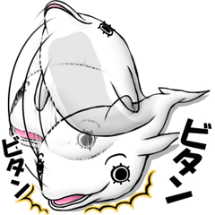 [LINEスタンプ] マツゲの白イルカ