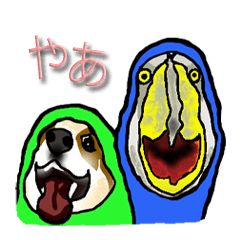 [LINEスタンプ] ベンとハビー(日本語改正版)